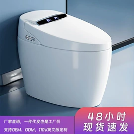智能马桶;马桶洁厕剂;普通马桶