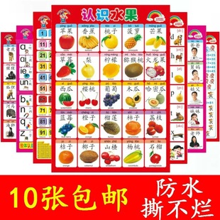 Baby Literacy Waterproof Silent Wall Chart Baby Early Childdhood Education Picture Reading Characters Pinyin Hanging Picture Cognitive Enlightenment Single-sided
