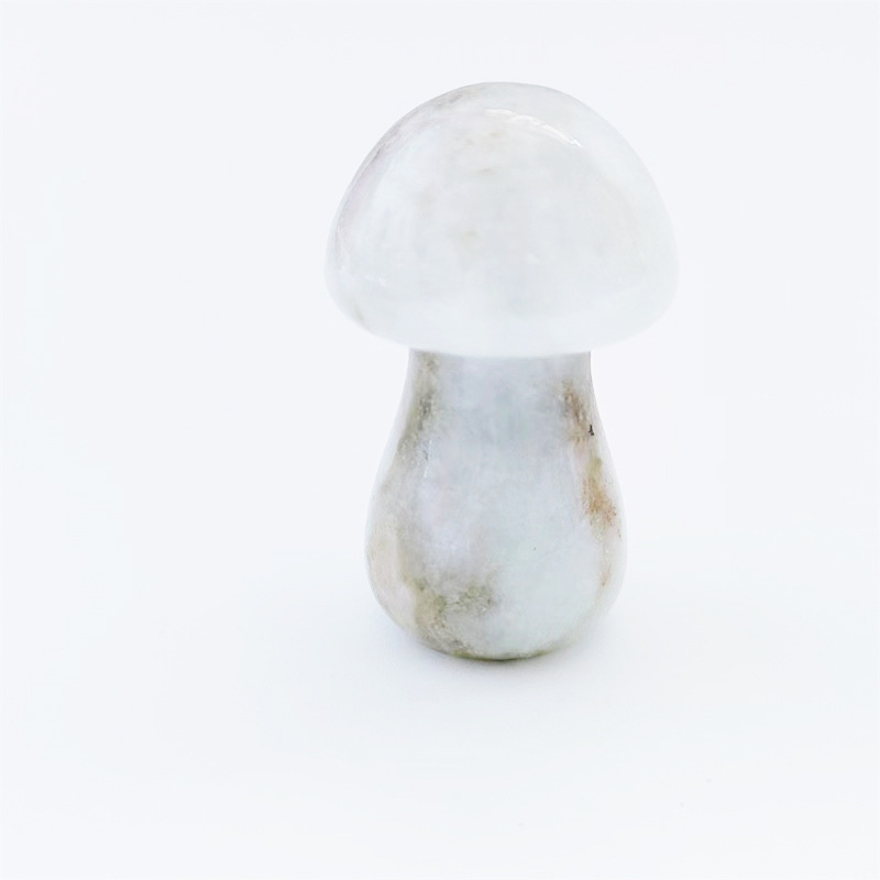 微信图片_20221001142837