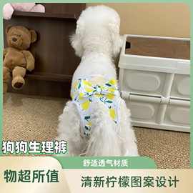 狗狗生理裤宠物尿垫狗狗护理垫狗狗月经裤防骚扰安全猫狗用品批发