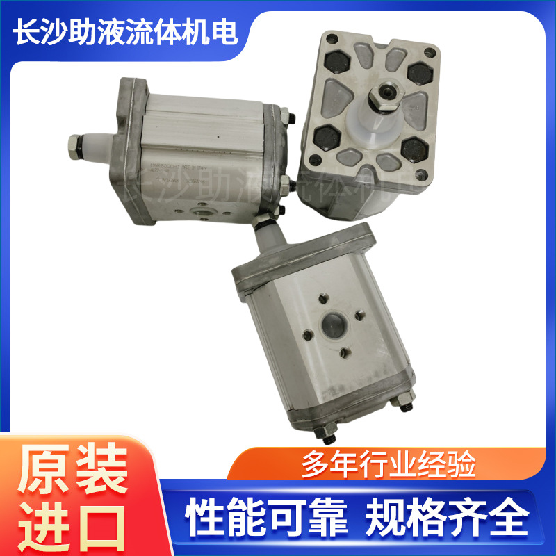 马祖奇MARZOCCHI反转齿轮泵ALP2-S-9压路机齿轮泵液压泵