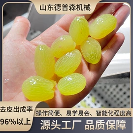 休闲食品加工;果蔬加工设备