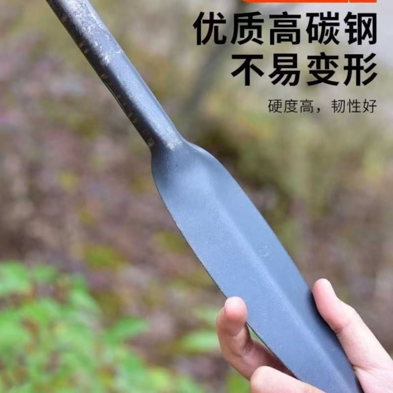 微信图片_20250503102647.jpg