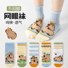 跨境女童袜子卡通卡皮巴拉儿童袜夏薄款a类透气网眼袜宝宝袜批发