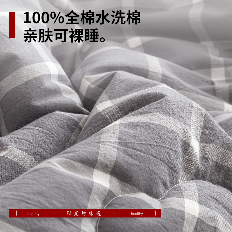 Four Seasons Universal Dormitorio individual Ropa de cama de algodón algodón algodón antibacteriano soja primavera y otoño edredón núcleo invierno image 3
