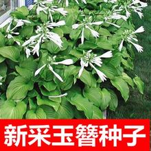 Nͺꎶ񴺰QݻѷNNӷN