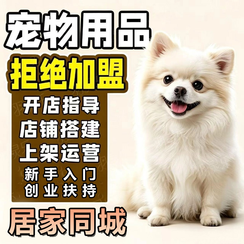 Pet Supplies, Home Business, Local Store Opening, Factory Direct Supply, Snacks, Cat Treats, Cat Food Wholesale, Ready to Ship Pet Supplies, Home Business, Local Store Opening, Factory Direct Supply, Snacks, Cat Treats, Cat Food Wholesale, Ready to Ship