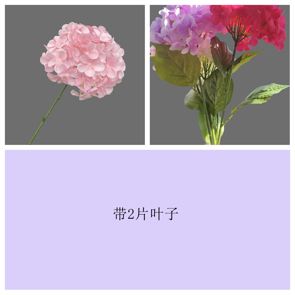 잎이 있는 핑크색 72개