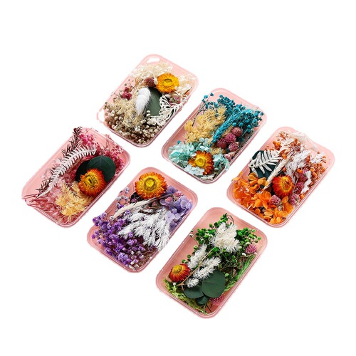 Preserved Flower Dried Flower Material Pack Floating Flower DIY Mini Pressed Flower Box Frame Fan Scented Droplet Resin Material Pack