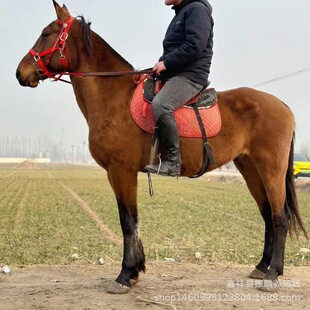�T��С���R �h�m���R ���㰫�R�B�R�����۰��R�R�x�Ӄr��