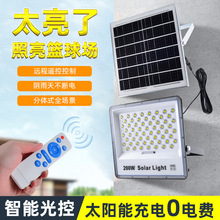 ܑ̫ledóˮͶܹ·羳Ͷl