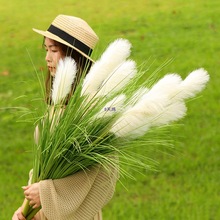 �JȔ�ݻ��͏d�[���ɻ��҃��b[�O��β�Ͳ���ؾGֲ�쾰�ٻ�