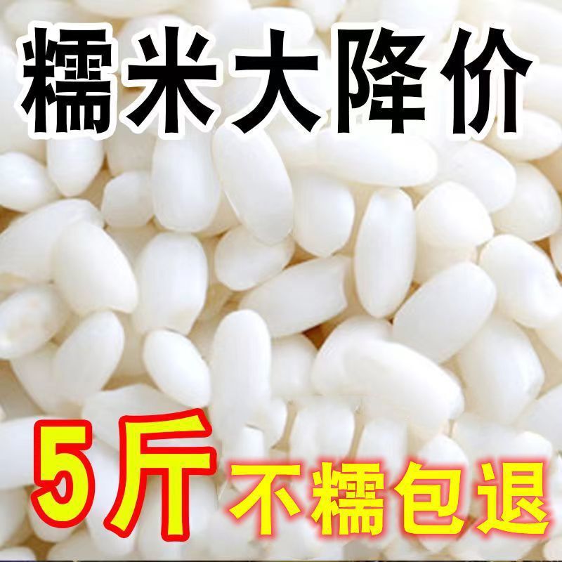 当季新米东北圆糯米5斤新鲜优质香白江米糯米粽子非10斤1斤|undefined