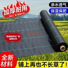 ���ݲ����@�����ڲݲ��w�ݲ�͸��͸ˮ�����Ƭ�����ݲ����s��ȫ�o