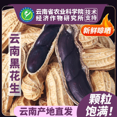 Academy of Agricultural Sciences Yunnan black peanut fresh shelled raw original fried black peanut shelled peanut seeds