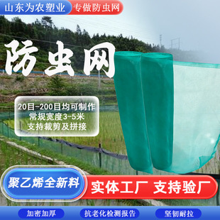 ���@�������x�W��轙������ѾW���x�W�����x���s���r�ô�����x�W