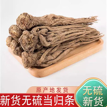 当归片全当归产自甘肃岷县无硫当归片500g包邮可配党参黄芪泡水喝