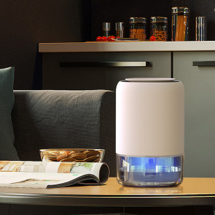 ���f�댧�w����CQ4�o�������������������҃Ȼ�����