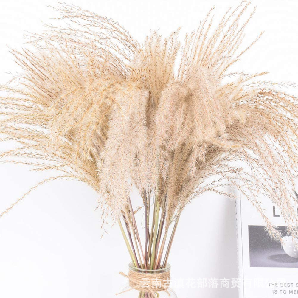 부드러운 머리카락 먼지 20