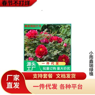 һ�����lĵ���������Դ���������ڎ�����ĵ�����N�p֦�ذ껨��ĵ