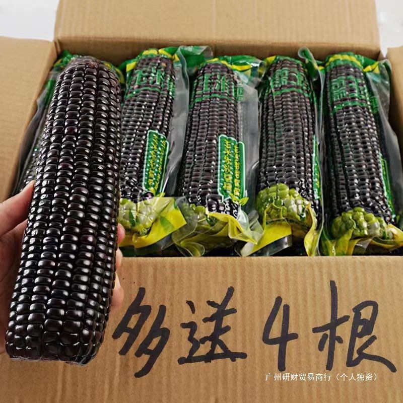Northeastern Black Glutinous Corn, 10 Sweet Glutinous Cobs, Not Black Corn, Vacuum-Packed, Ready-To-Eat, Sticky Yellow Corn, Normal Refrigeration