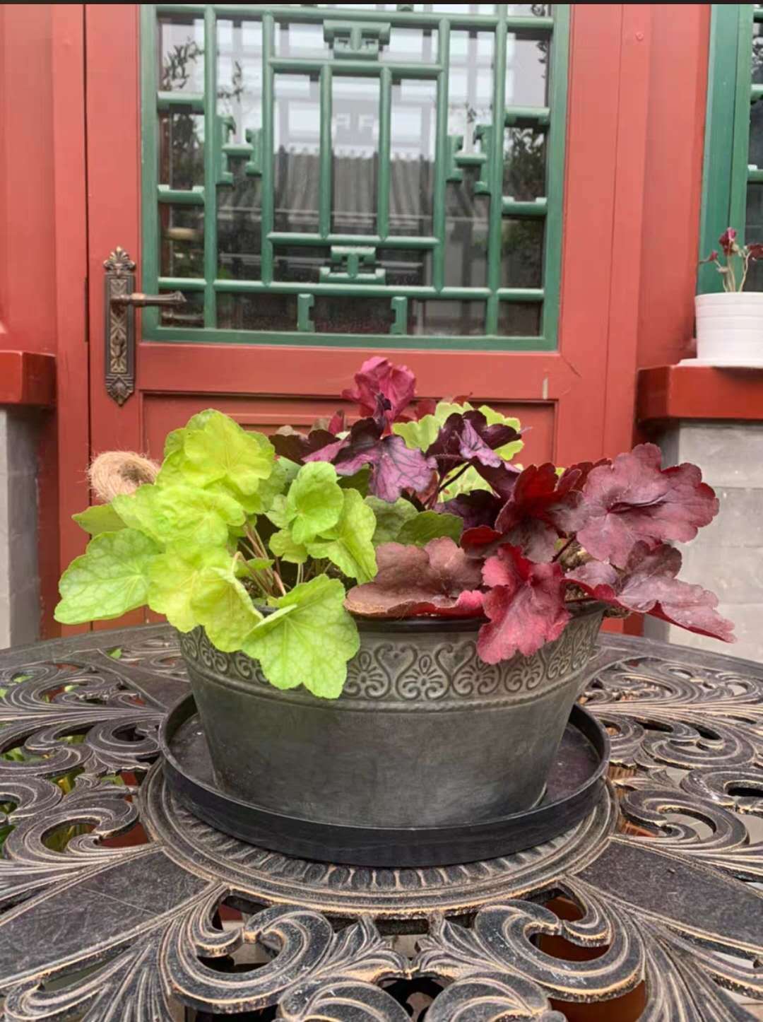 微信图片_202008011009324