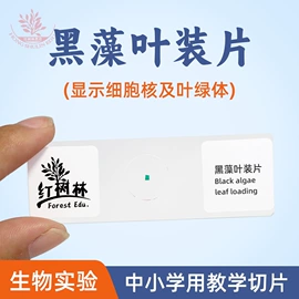 教学演示用品;生物教学器材;医药教学器材