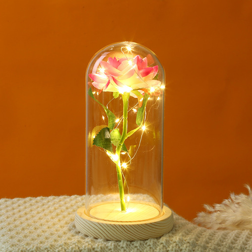Acrylic New Style Eternity Flower Qixi Gift Creative Atmosphere Decoration Lamp Rose Transparent Micro Landscape Ornament