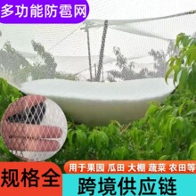 农业防雹网 透明聚乙烯防冰雹网葡萄苹果园梨园樱桃防雹网防鸟网