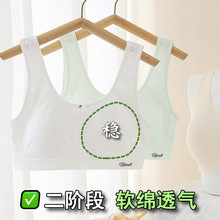 发育期二阶段内衣小学初中生文胸固定杯宽肩带无钢圈女孩背心少女