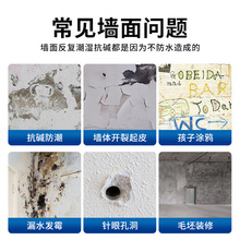 墙壁塑钢泥白色防水修补翻新漆油性漆修补膏补墙膏净味免中国大陆