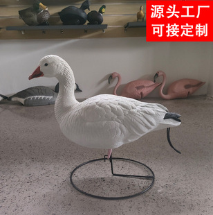 ���R�d�羳���N���Z�[�����S�ɶ���PE���|���ܹ�ˇ�e��ͥԺ�b�