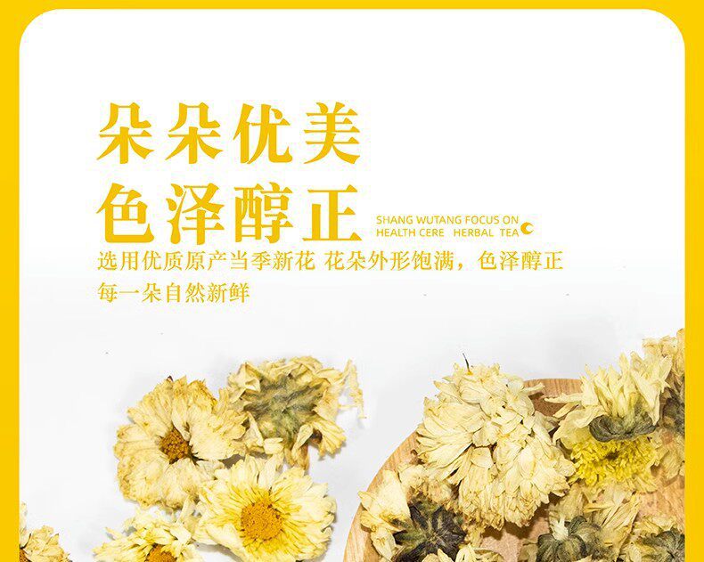 Hang Bai Ju Chrysanthemum Tea 500g Premium Tongxiang White Chrysanthemum Buds for Daily Brewing quality and texture