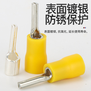 Genuine Phoenix Ptv Needle-Type Pre-Insulated Cold-Pressed Copper Terminal Block Pin-Type Quick Connector National Standard Copper