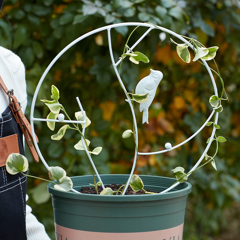 핫 스타일 업그레이드된 흰새 직경 30cm