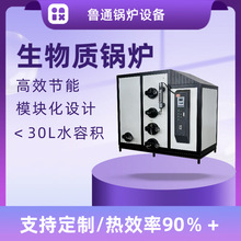 水汽两用热源机 1-3吨全自动洗浴热水供给工厂供暖生物质汽水两用
