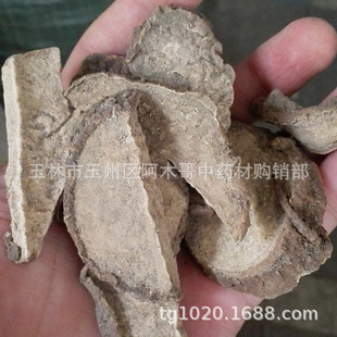 ��ș�� ��ș�� ��؛ �в�ș