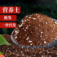 �S�����l���lͨ���͠I�B���N���N�˼��÷Nֲ���ЙC���Gֲ���ܶ���