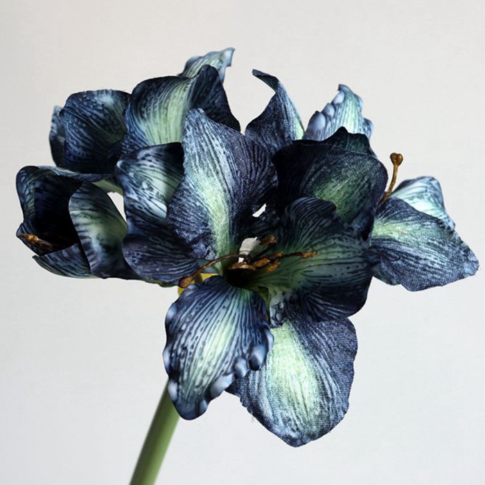 보라색 75cm