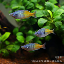 �Ꭷ�^�p�~ ʯ�����~ �����~�ݸ��~�O��ֱ�N�������l�Ꭷ�^�p�~