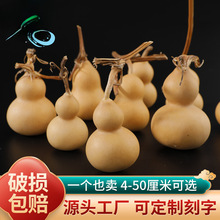 ������ؔ��������ؼ����ĳǴ���������{�����^�Ʒ���l���]