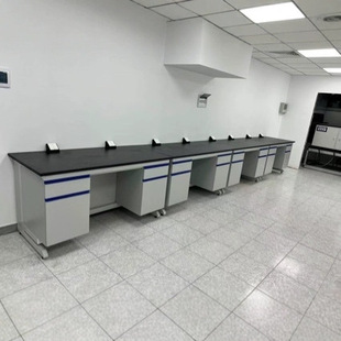 Steel-Wood Edge Test Bench Industrial Chemistry Laboratory Table Workbench Side Cabinet Operation Reagent Wall Cabinet Office