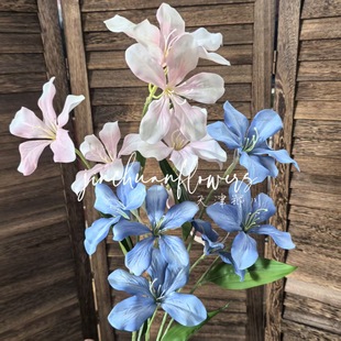 �¿�����m���滨��Y�Ƶ�����b��쾰7�^�����m���滨��c�û�