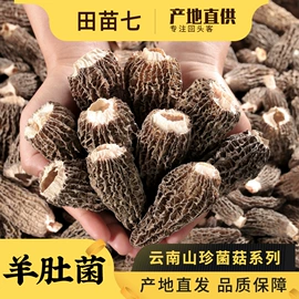 三七;参类滋补品;其他滋补