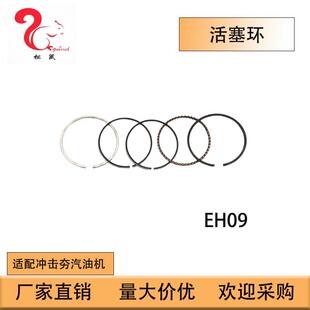 �m���_�eEH09����EH09�����hPiston Rings