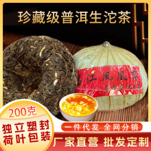 普洱茶生茶沱茶批发云南墨江凤凰窝沱茶古树茶叶自己喝口粮茶生普