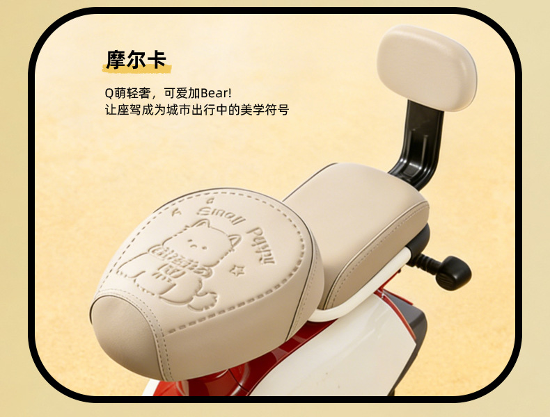 Simple Style Electric Vehicle Seat Cover, Waterproof and Sun-Proof, Suitable for Small Electric Bikes, Compatible with Yadea, Tailg, and Aima