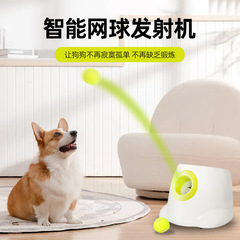 越境知能ペットインタラクティブテニス送信機玩具二電源自動投球機ドッグラン