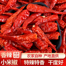 特辣小米椒辣椒干 S17印度干辣椒原切段源头批发香辣调味料微辣款