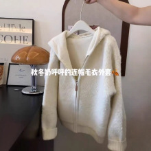 秋季连帽仿羊羔毛绒颗粒绒宽松小个子休闲正肩短款外套2025新款女
